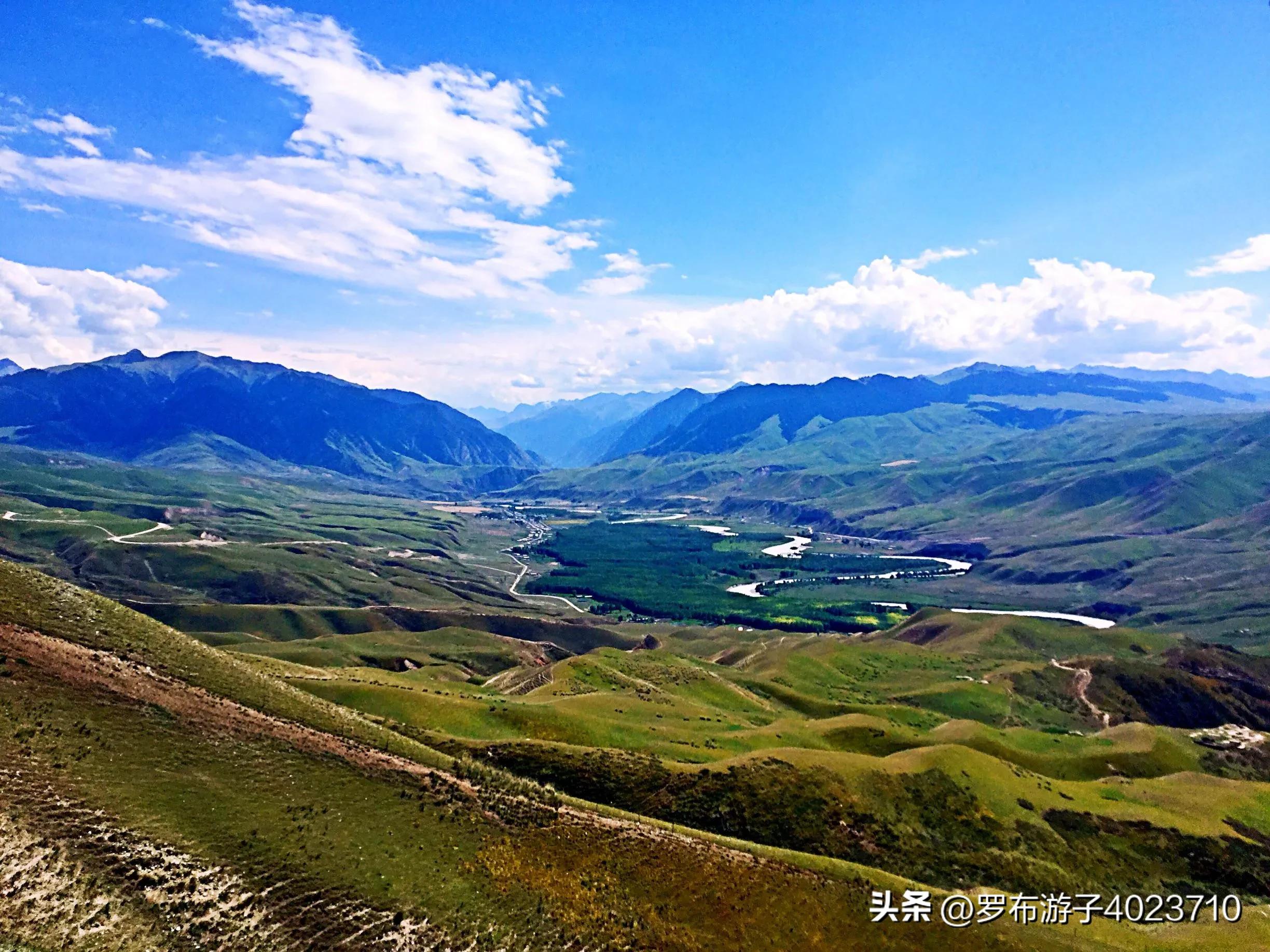 伊力大老窖和小老窖,泸州老窖和伊力老窖