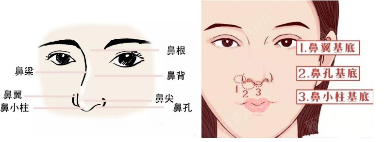塌鼻子变美思路看这里,塌鼻梁怎么变漂亮