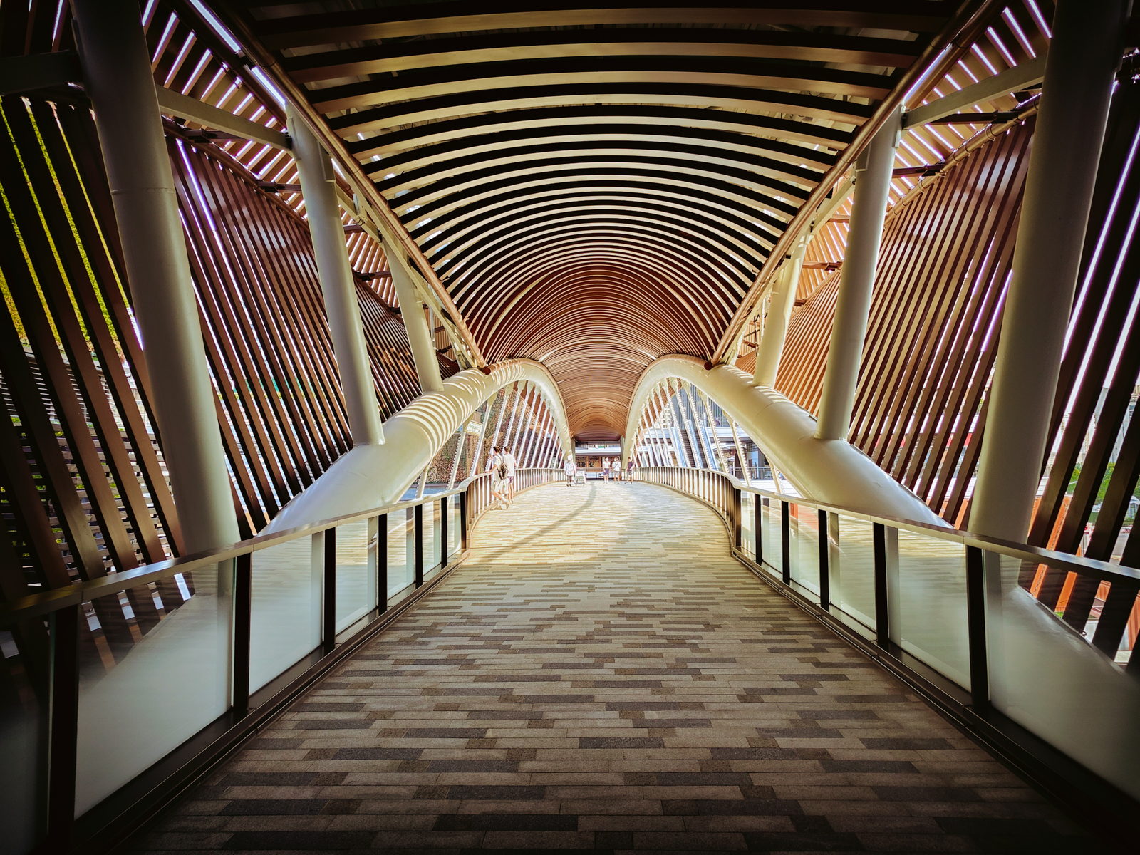 真我gt2大师探索版深度评测,realme真我gt大师探索版和真我gt2