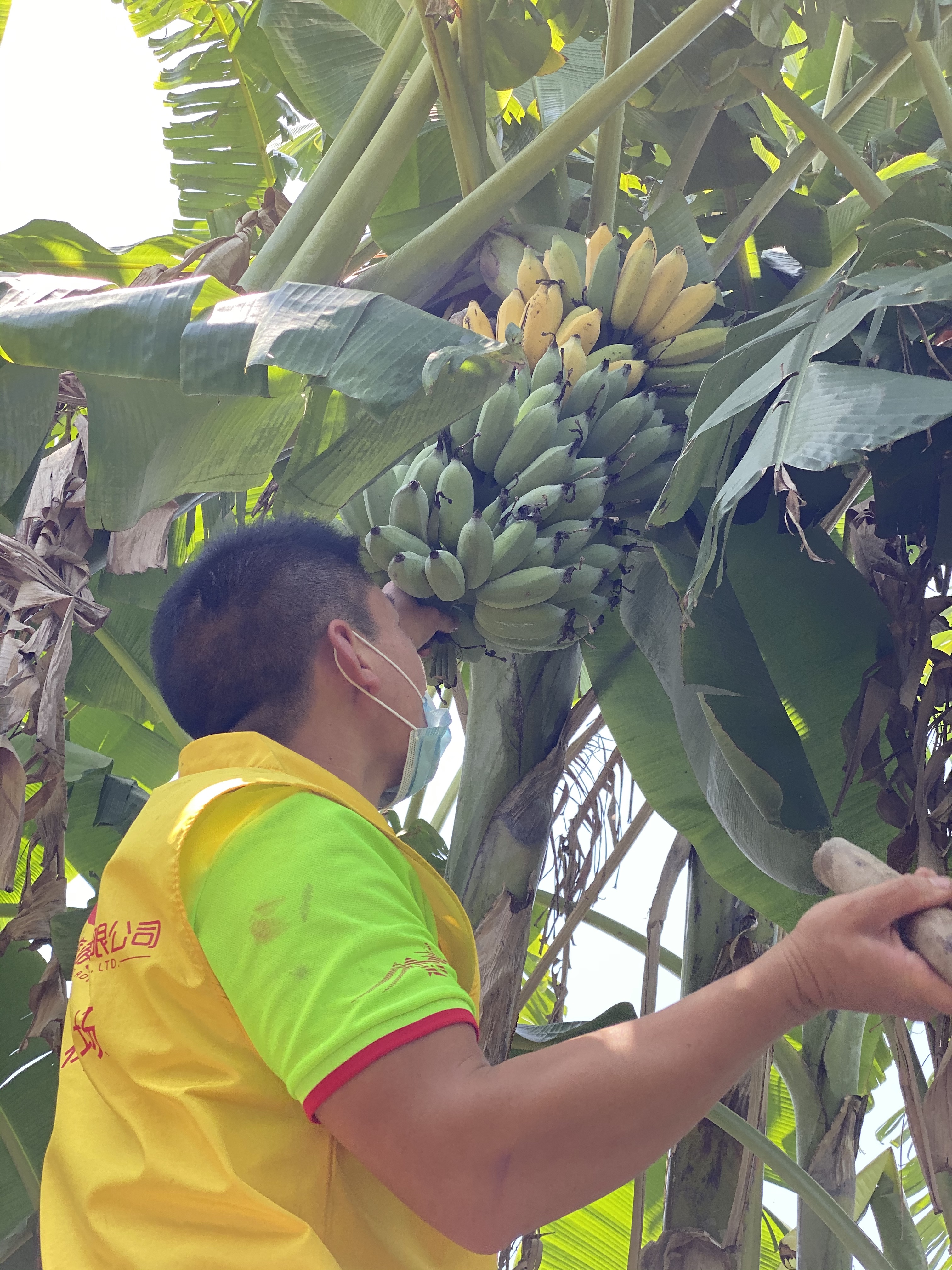 深圳哪里适合团建农家乐,深圳团建轰趴好去处