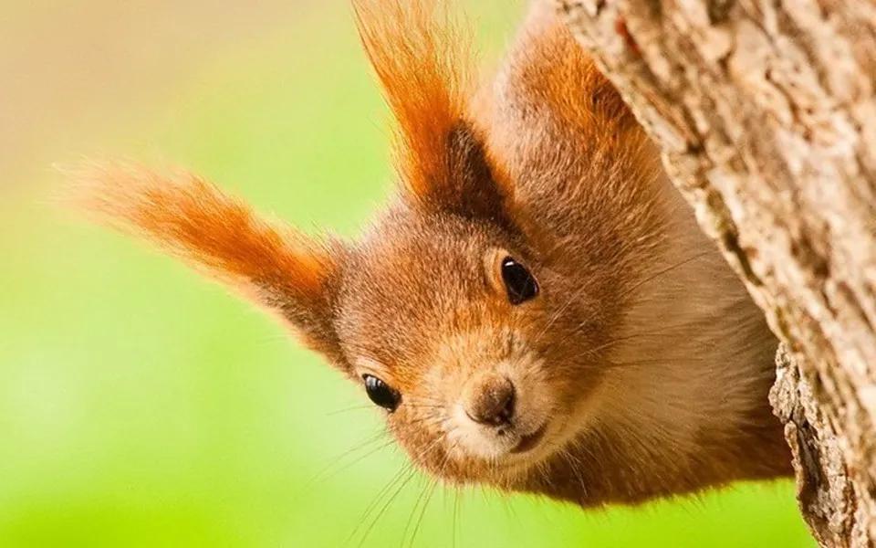 晚安谐音梗小故事,网络最新的谐音梗