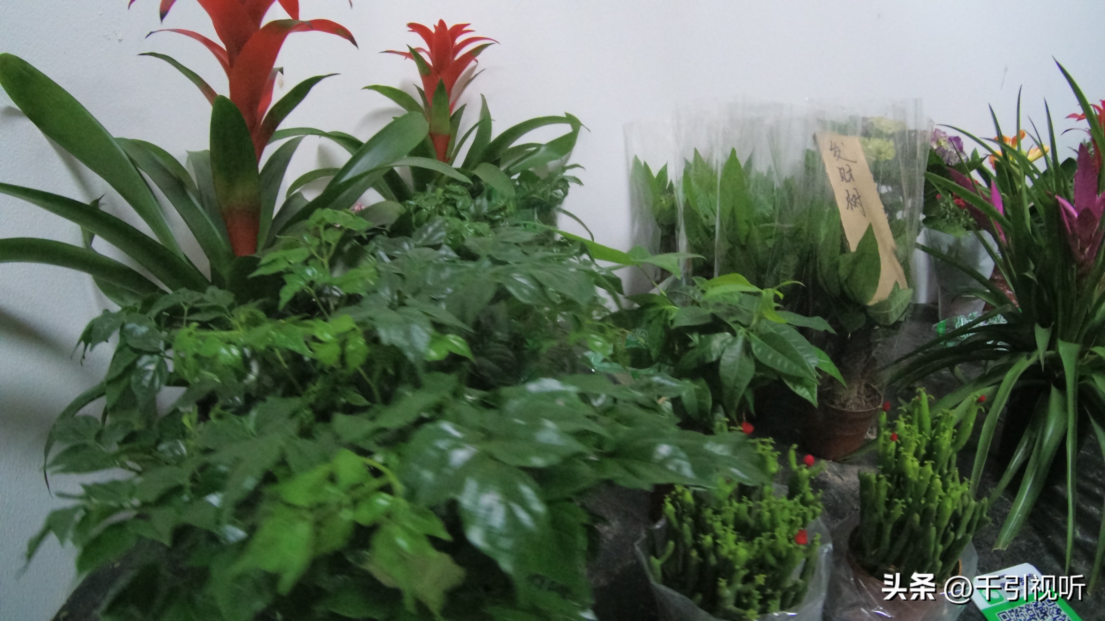 保持底蕴丰富内涵基层消费大集昌平开市