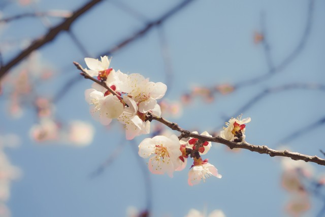 一篇精美散文及其赏析,哲理性散文如何写