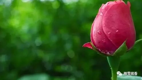 璧炵埍鎯呯殑璇楄瘝,鍙や唬鐖辨儏璇楄瘝