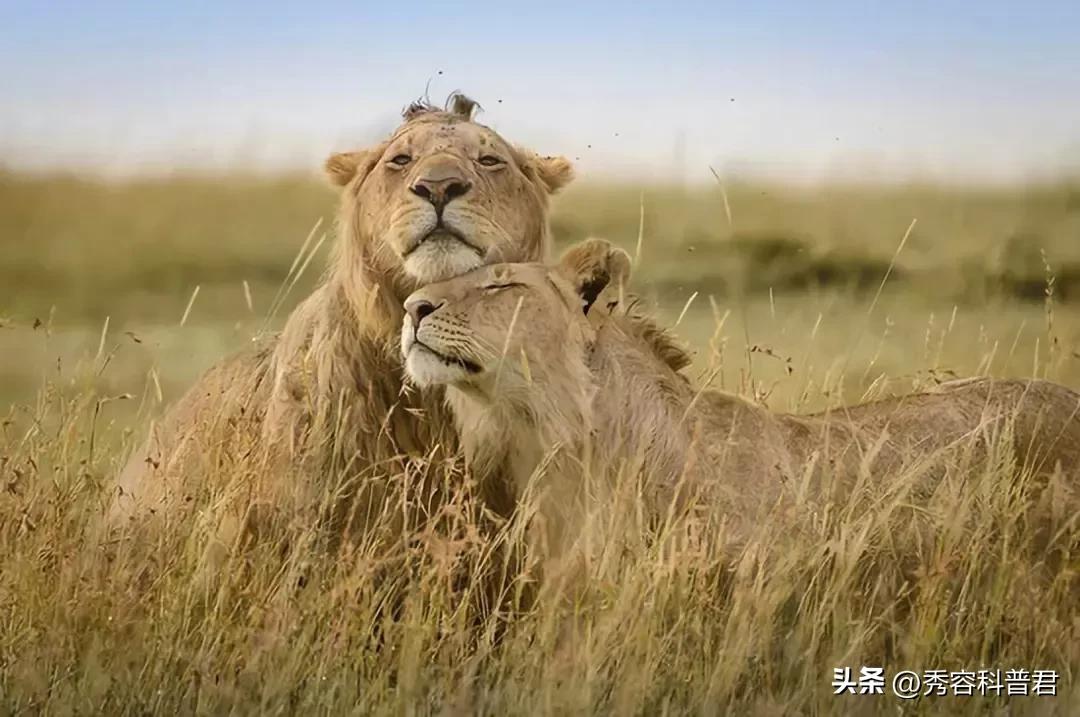 *拍偷**的夫妻生活照，羞羞的