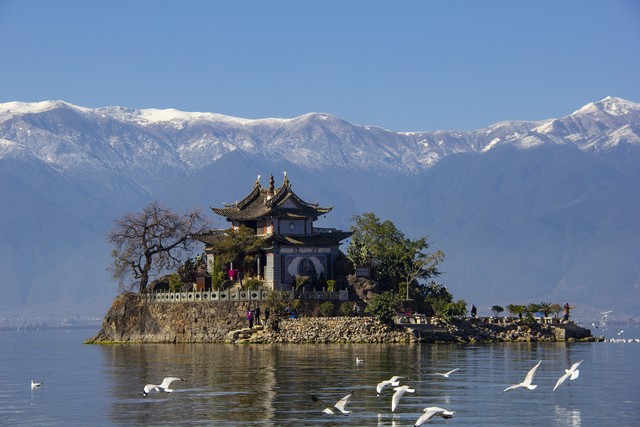 云南旅游推荐的普洱茶,普洱茶云南之旅