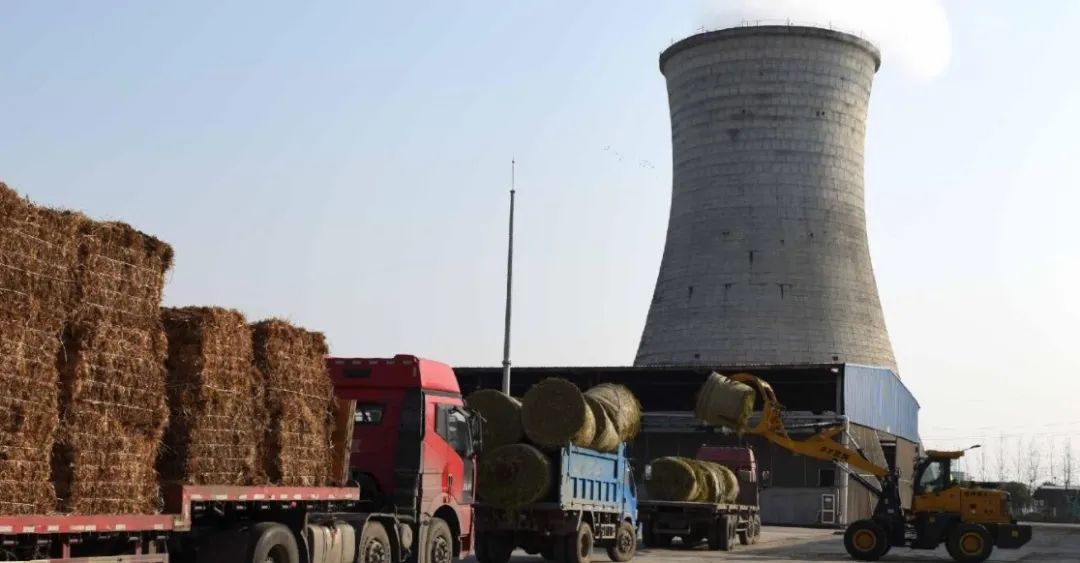 出售秸秆为什么不坏,秸秆能卖钱吗