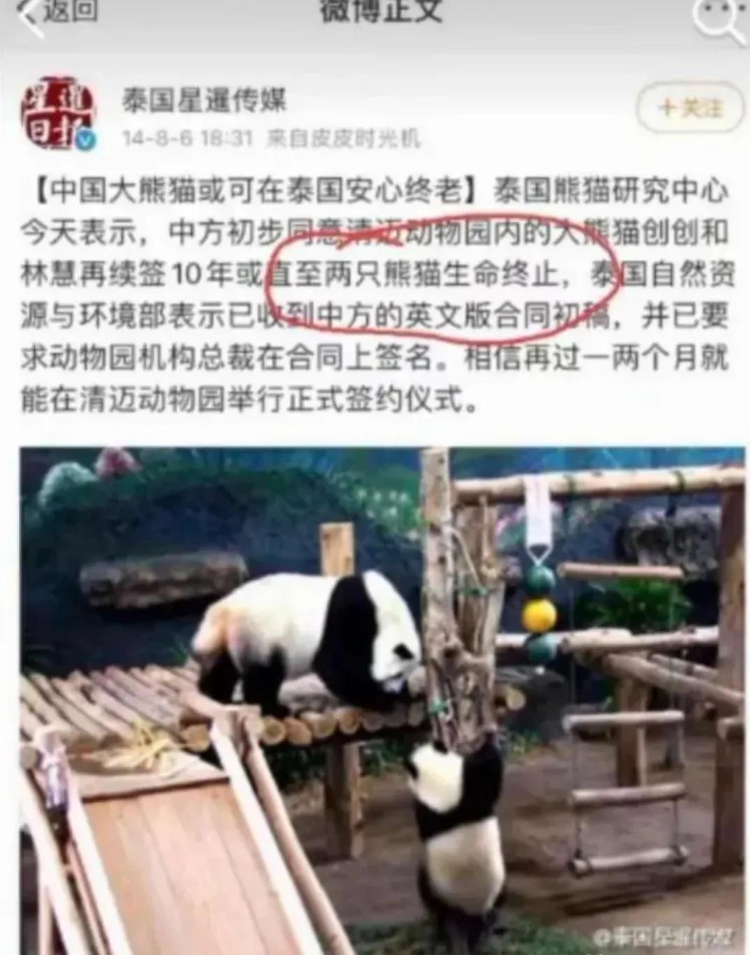 它们被续签给泰国时可是生死合同!却被说成可在泰国安心终老?