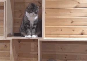 “我再也不想跟老公一块睡了”网友：我出50块，把床铺大点哈哈哈