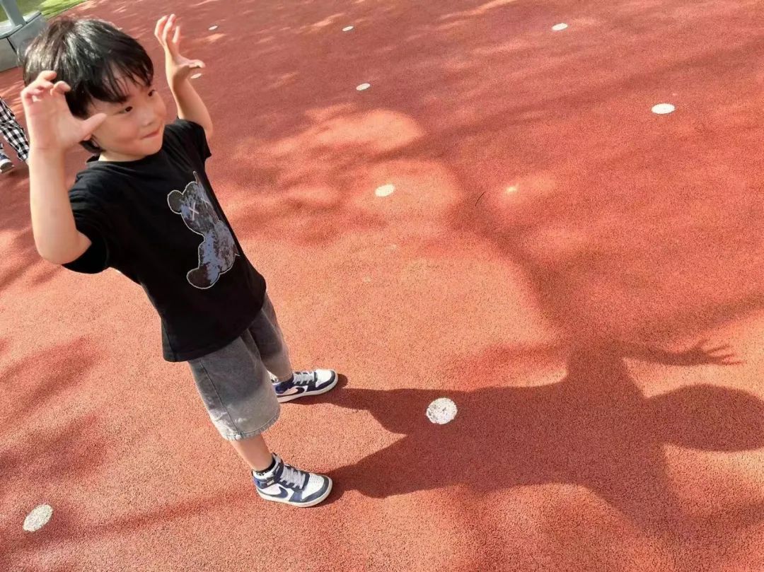 奇妙的影子幼儿,奇妙的影子公开课完整视频