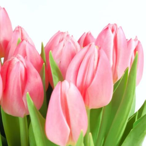 一晚上连炫16颗生鸡蛋，偷吃柯基秒变粑粑喷射“基”