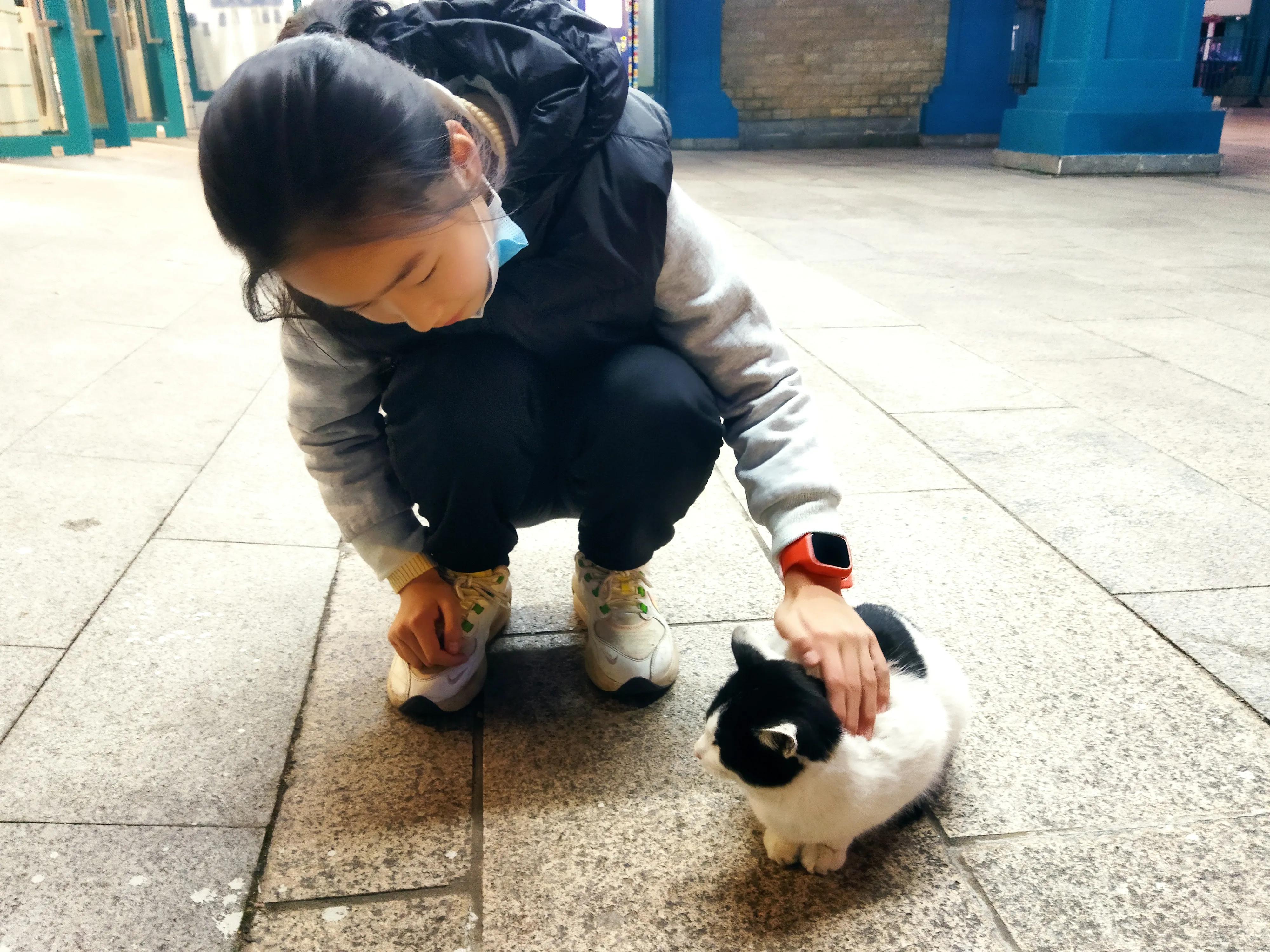 连续整夜的失眠,突然连续两晚失眠