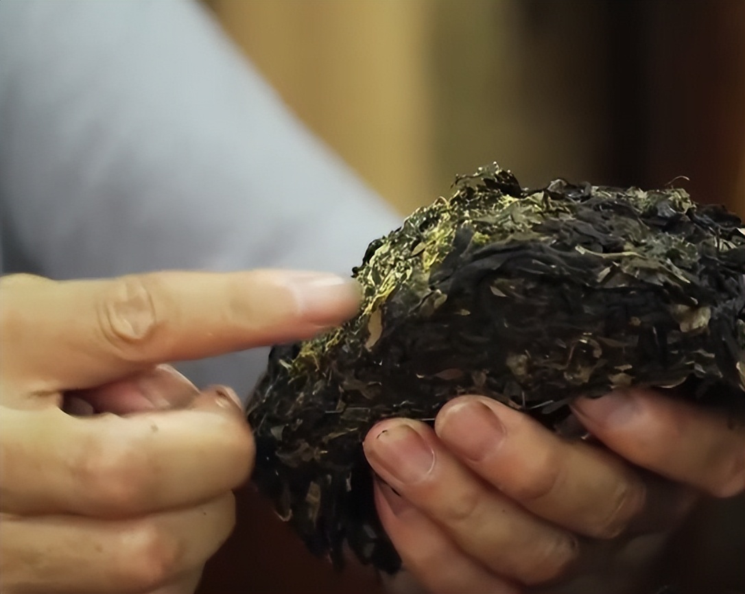 广东老板放弃皮革生意，靠壮阳树年入千万，一张树皮卖上千元