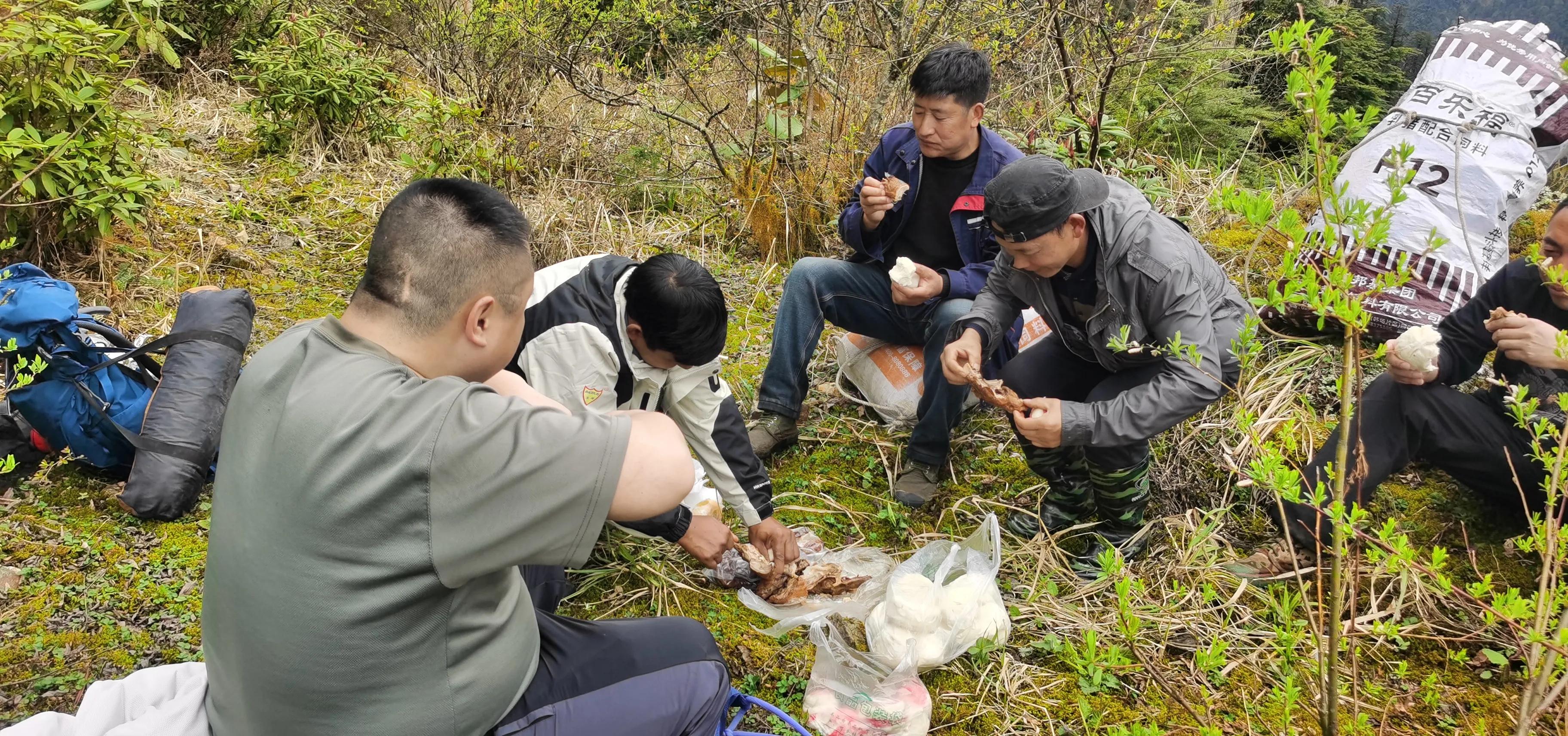中国百慕大黑竹沟了解一下,中国百慕大黑竹沟近期气温