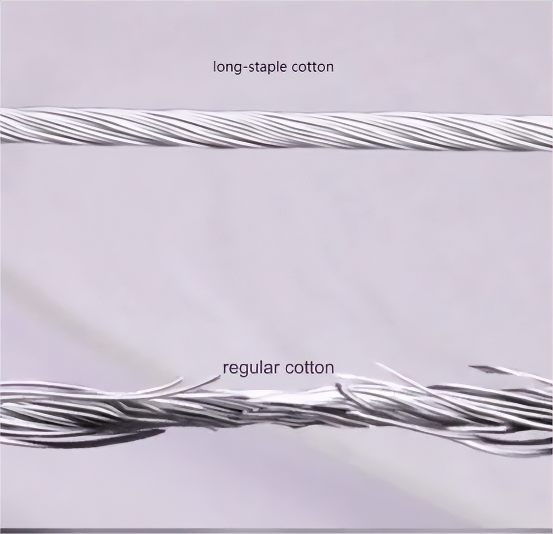 长绒棉今年为什么价格高,市场上卖的长绒棉是真的吗