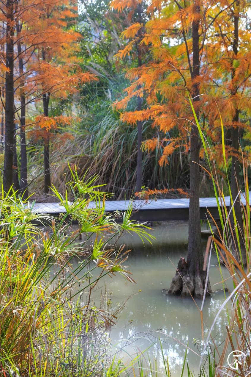 深圳4个绝美海岛,深圳值得游玩的小岛