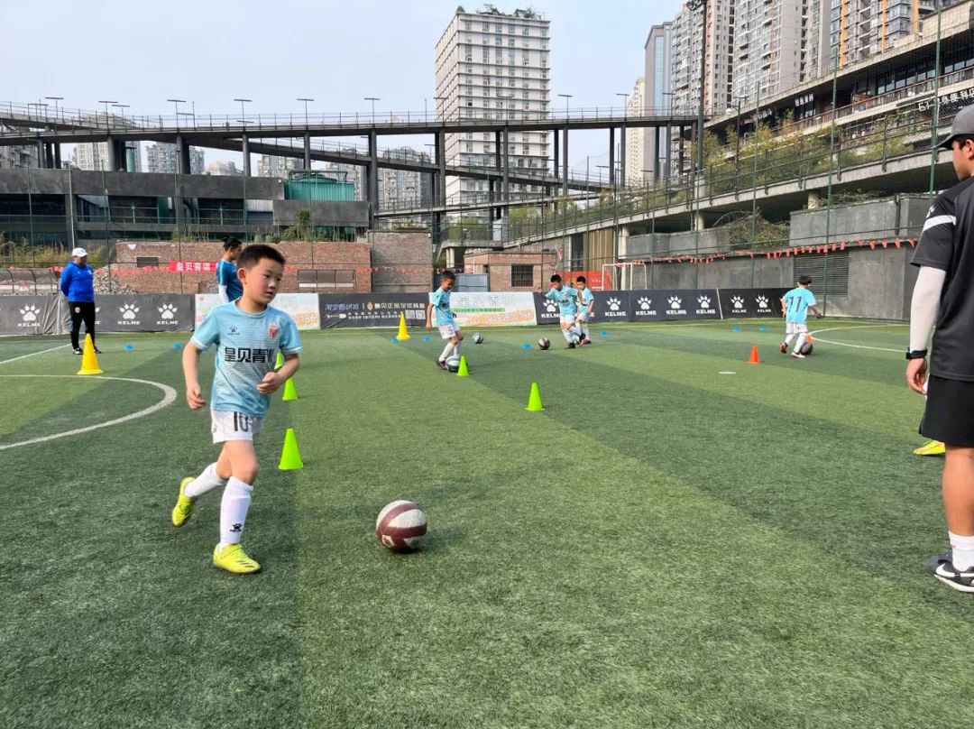 麒志体育,皇家贝里斯足球俱乐部是什么级别