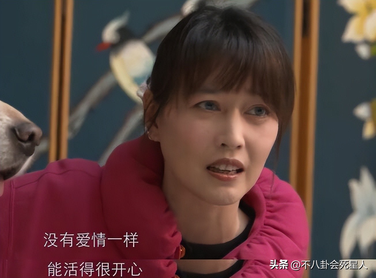 10位定居内地的香港明星,定居大陆的40多位港星