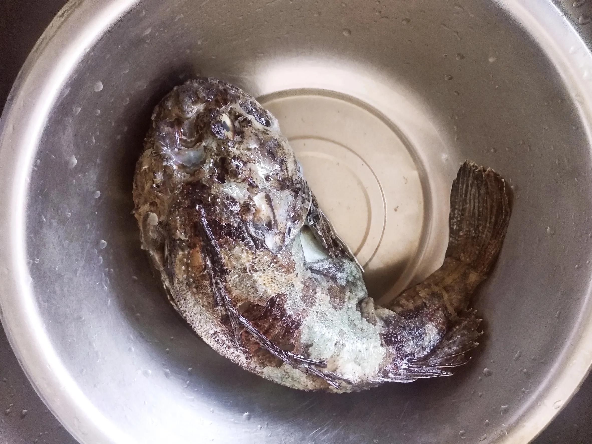 30种最常吃的海鱼图片大全,比较常见可以吃的海鱼