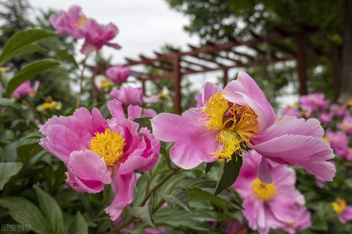 有种女人让男人爱到上瘾,4招轻松成为让男人上瘾的女人