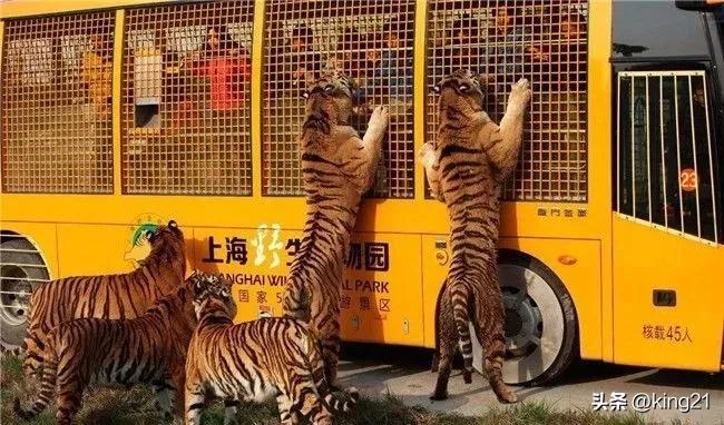 上海著名景点地铁站,上海地铁站景点介绍