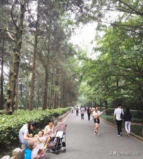 史玉柱靠传奇赚钱,史玉柱简介及创业故事