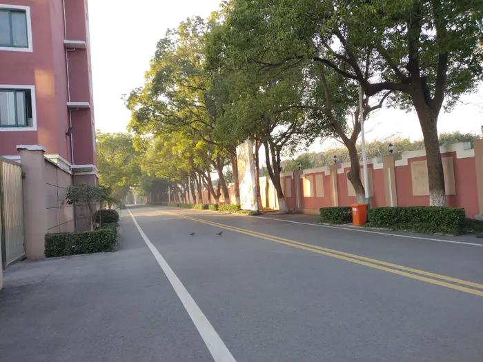 画与景,幼儿长卷画景