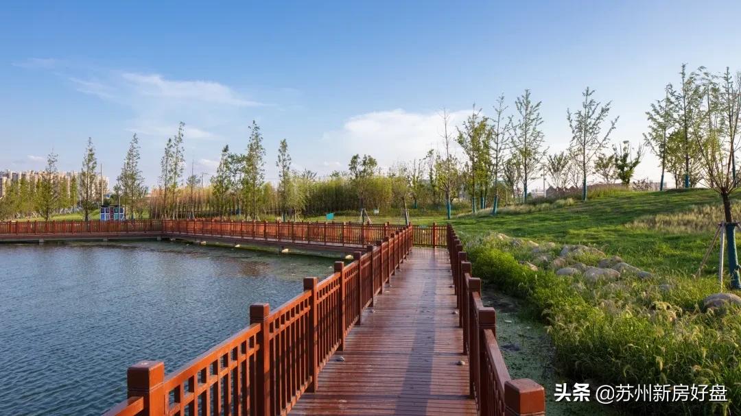 ​保利·栖月雅园┃逆势上扬，热销频传，掀上岛热潮！（中央公园）