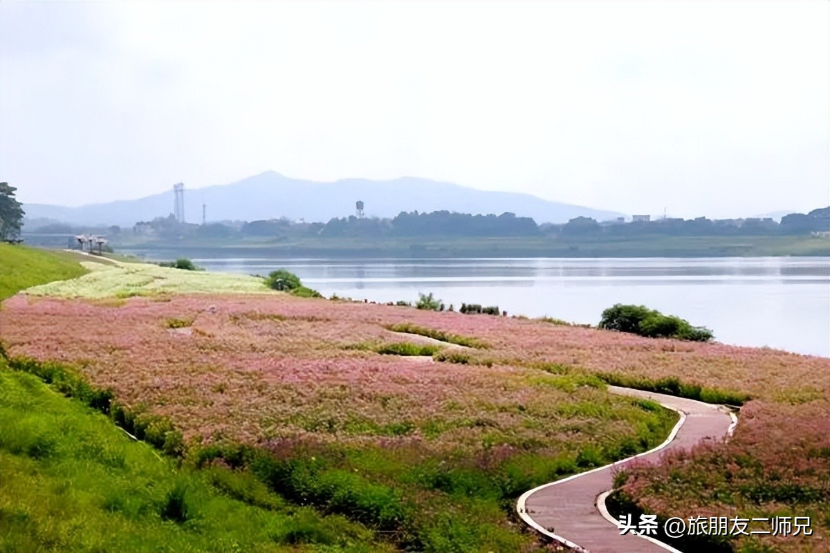 佛山三水白坭附近的旅游景点,佛山三水出发黄姚古镇旅游攻略