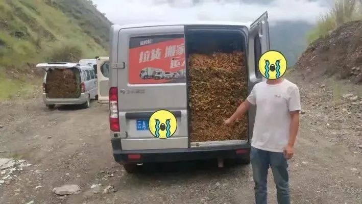 警察查无人区拦车真实事件,警察在马路拦车抓捕现场