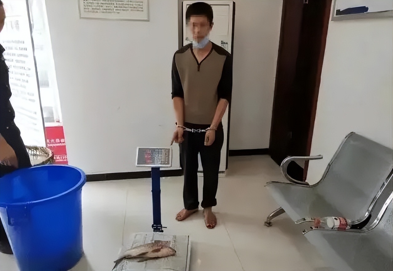 野外钓到9斤大鲤鱼要放生不,钓到红色鲤鱼要放生吗