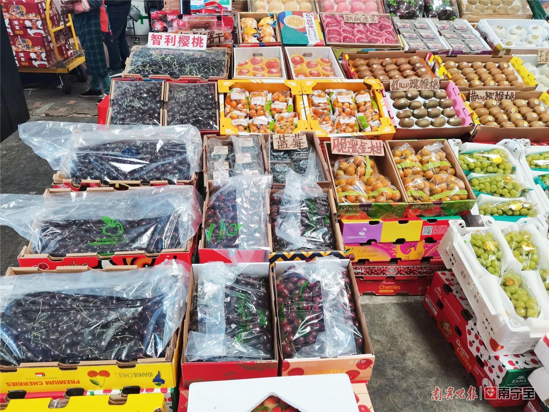 广西车厘子水果批发,西乡水果批发市场车厘子价格