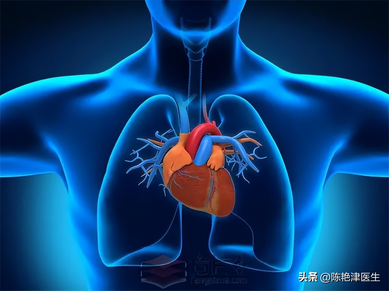 一饿就心慌头晕手抖是低血糖吗,一饿就低血糖心慌手抖怎么治疗