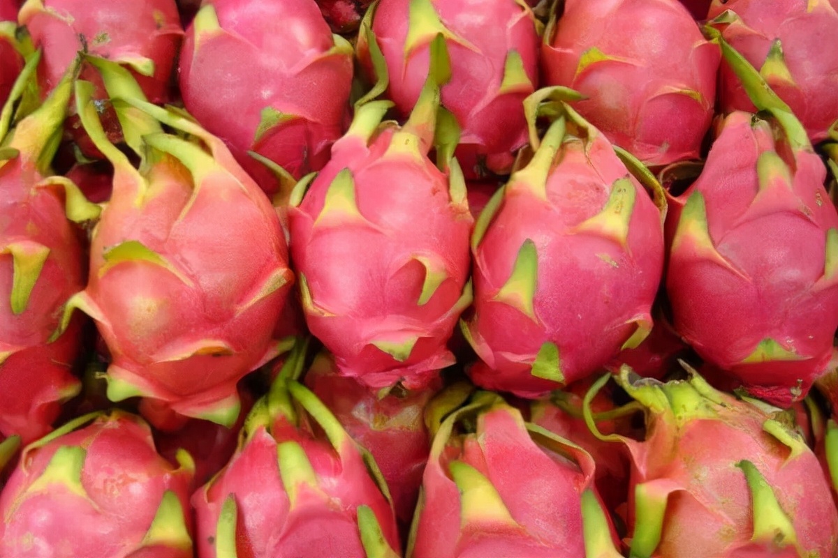 供应链行业观察,供应链视角分析