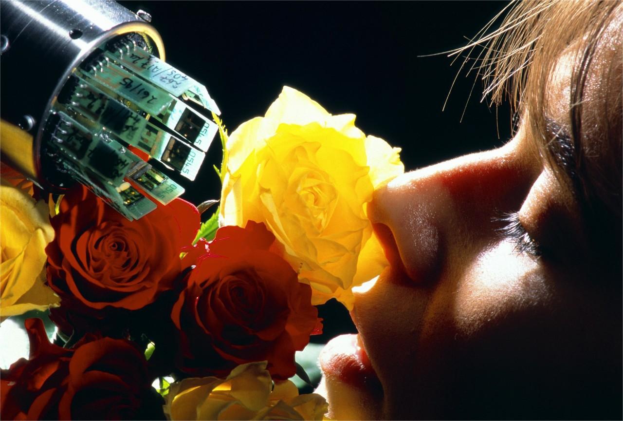 动物在交配前，为啥会先闻对方的屁股，小小肛门释放了多少信息？