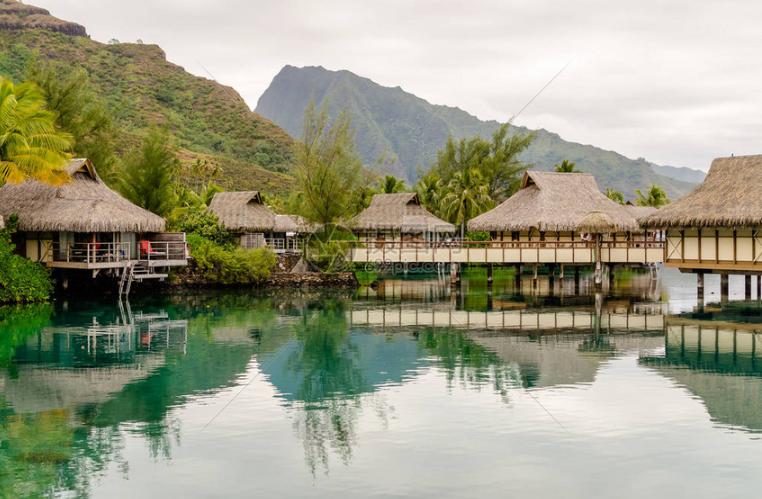 热情之岛，法属波利尼西亚的橄榄球传统，挑战与荣耀