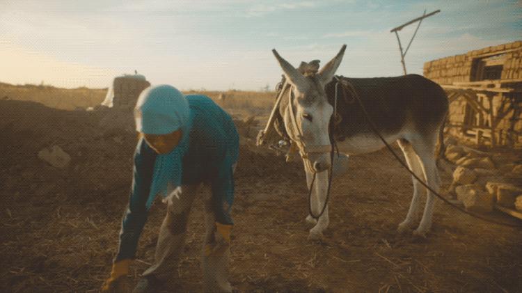 58天，我们见证了一部冷门片的逆袭