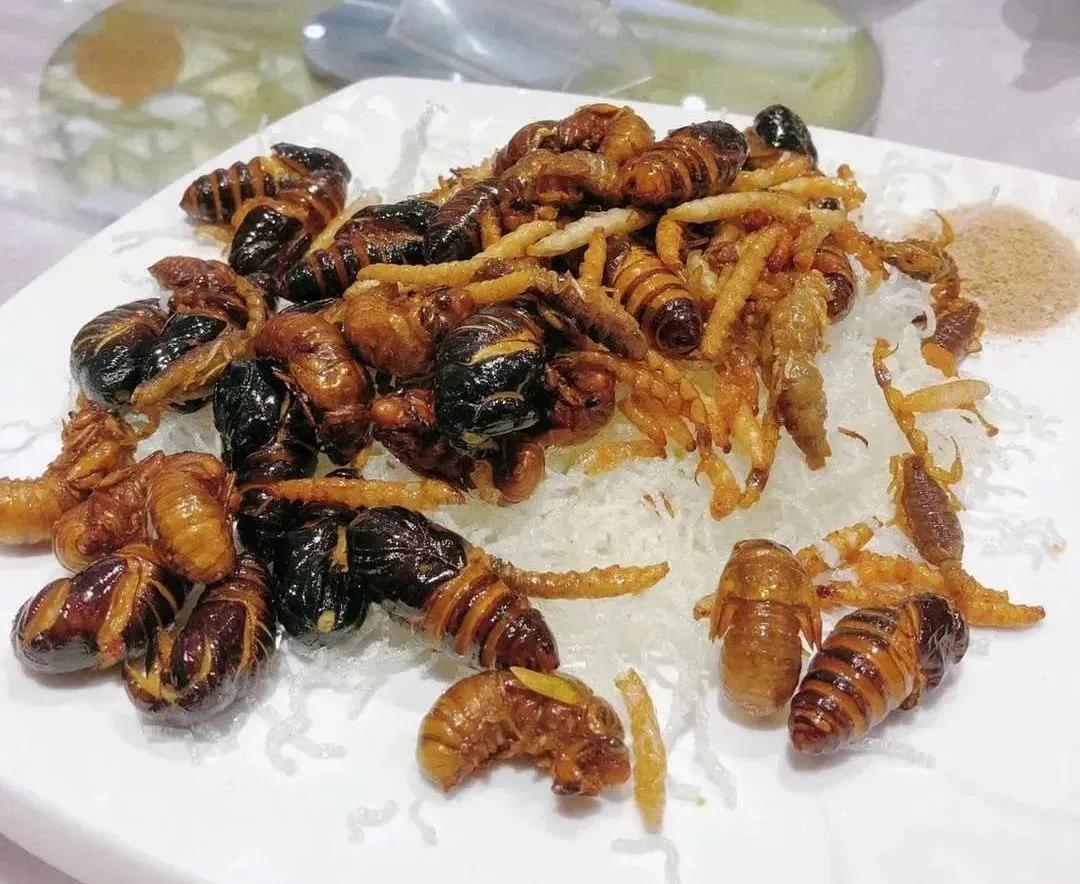 鐑熷彴浜哄枩娆㈢殑娴烽矞,鐑熷彴浜烘渶鐖辩殑娴烽矞