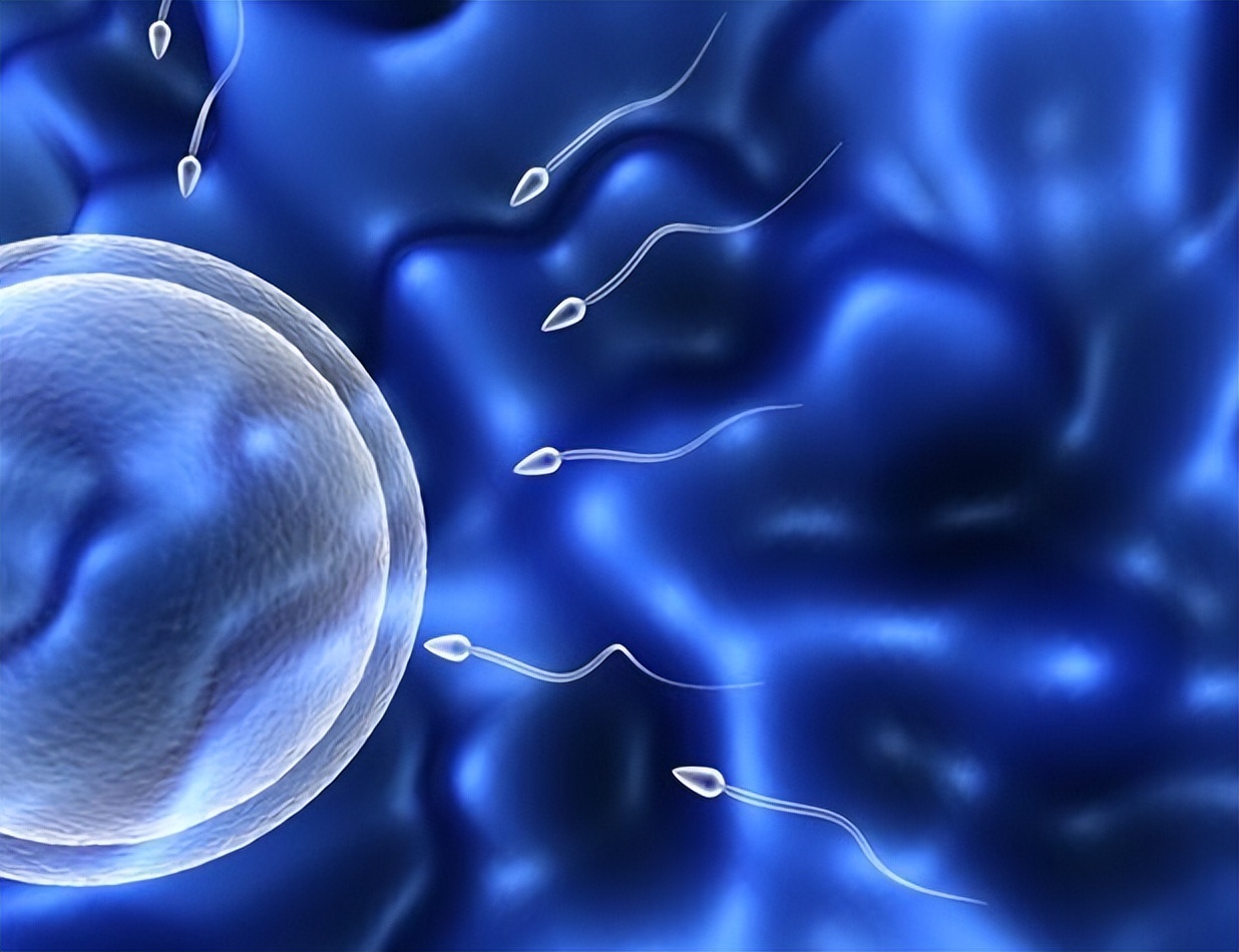 一个月几次“夫妻生活”才算正常？医生提醒：不要刻意追求次数