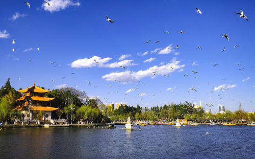 负利率国家老百姓怎么存钱,负利率时代老百姓如何理财