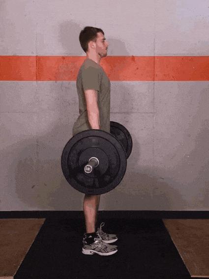 卷尾骨就是收紧腹部吗,卷尾骨夹臀吗