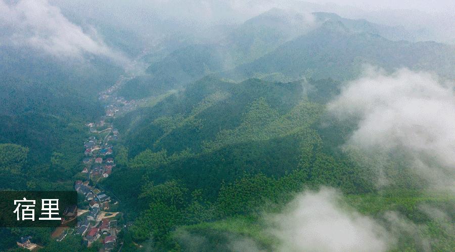 适合冬天去的民宿莫干山民宿,莫干山民宿天花板体验之旅