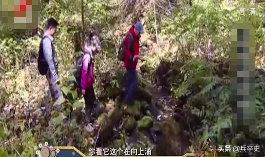 野猪林诡异事件,野猪林神秘事件