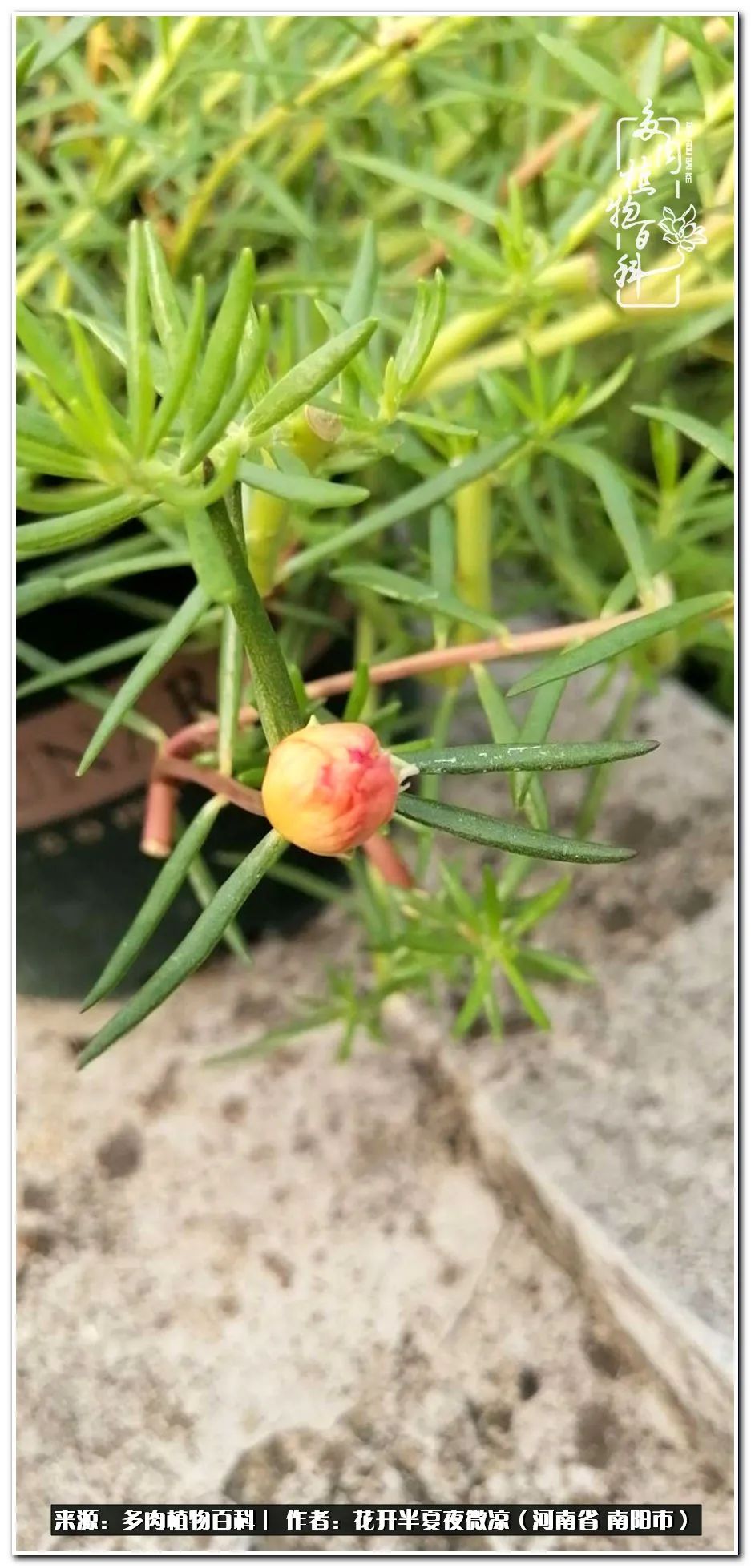 万事开头难只要坚持才有收获,万事开头难只要肯干就会有结果