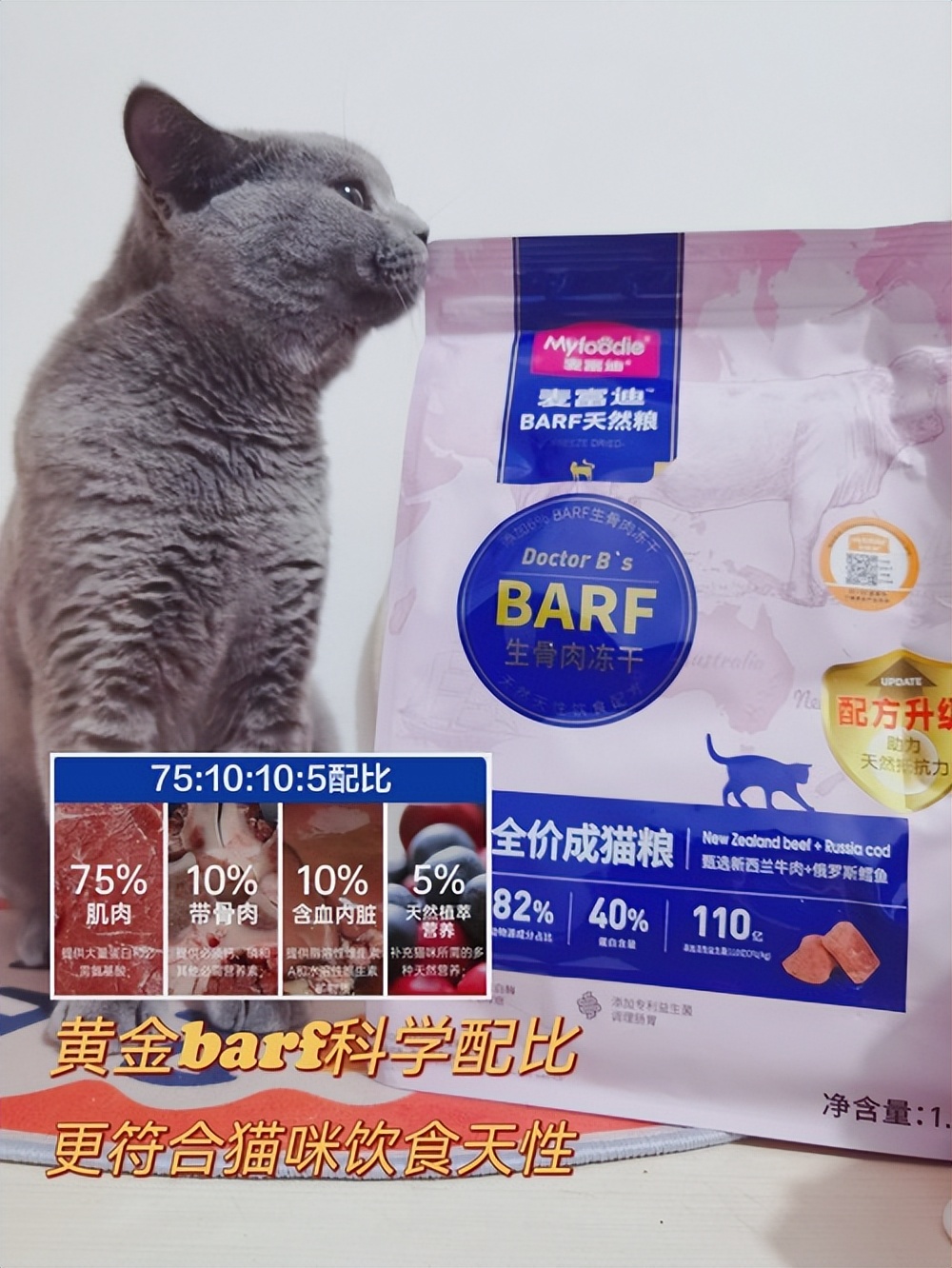 猫瘦怎么治,猫皮包骨