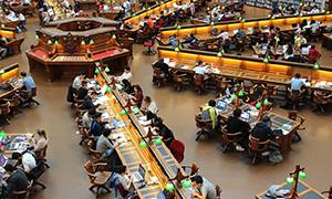 商务管理专业的专业描述,商务管理专业的理解