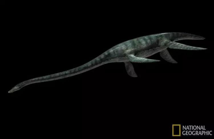 世界是《信条》，还是一个深渊