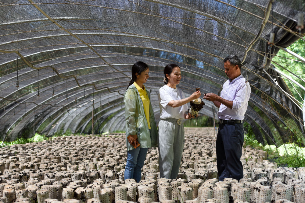 咬定青山不放松——*党**的十九大以来以习*平近**同志为核心的*党**中央贯彻执行中央八项规定、推进作风建设综述