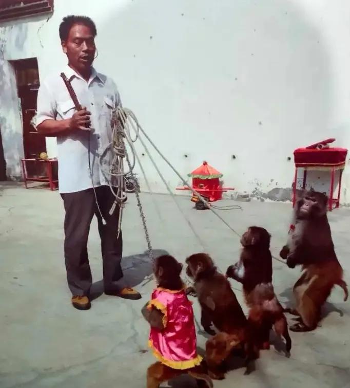 呼和浩特的大召简介,呼和浩特的大召