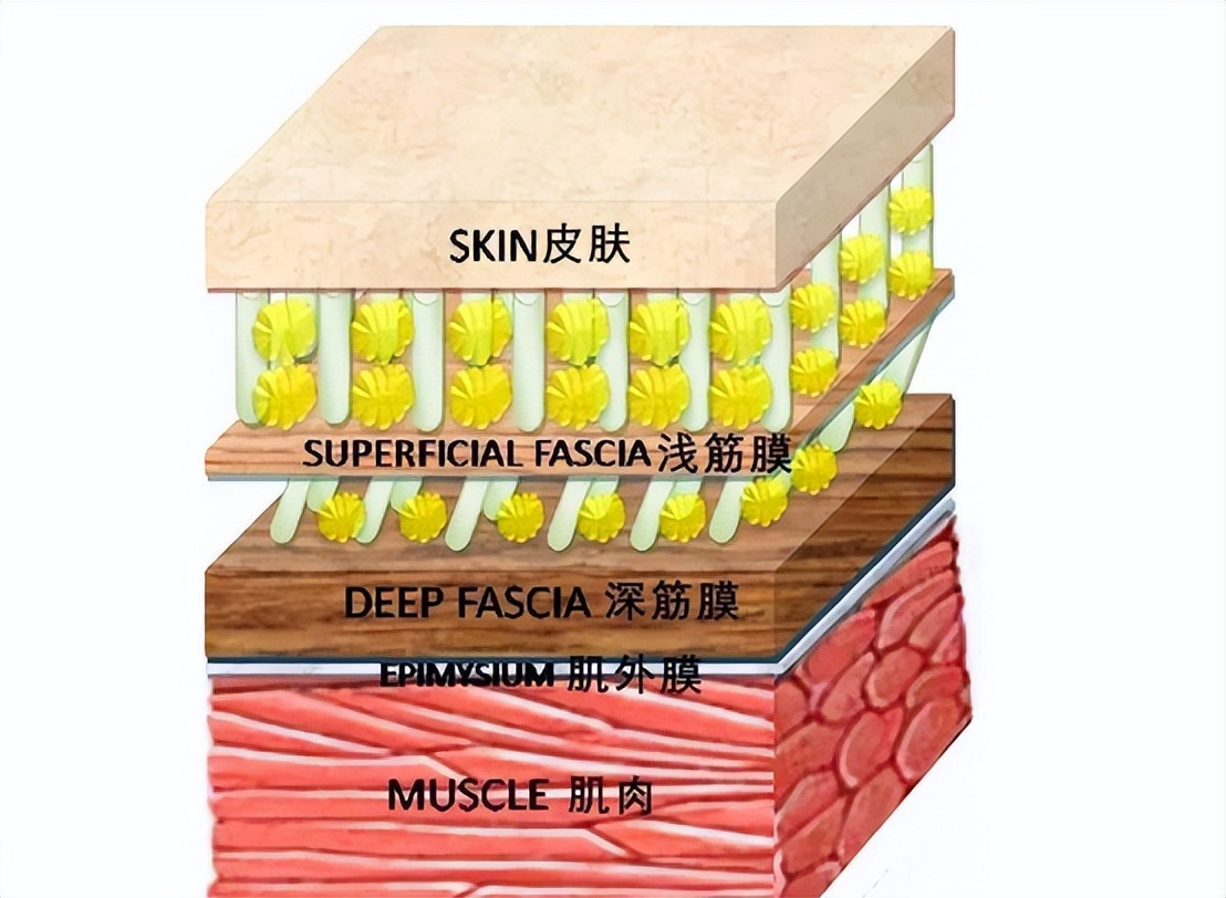 经常用筋膜枪有危害吗,便宜筋膜枪有什么危害